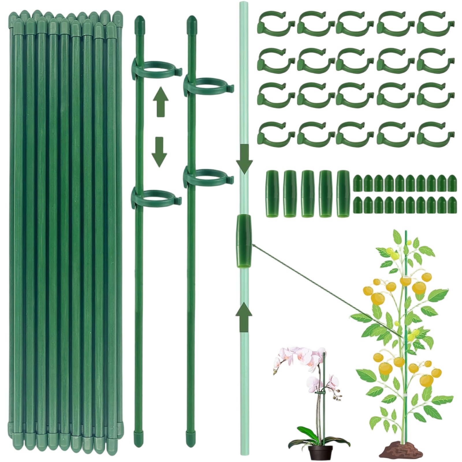 Florist Supp - Plant Supports Rod Single Stem Shrub