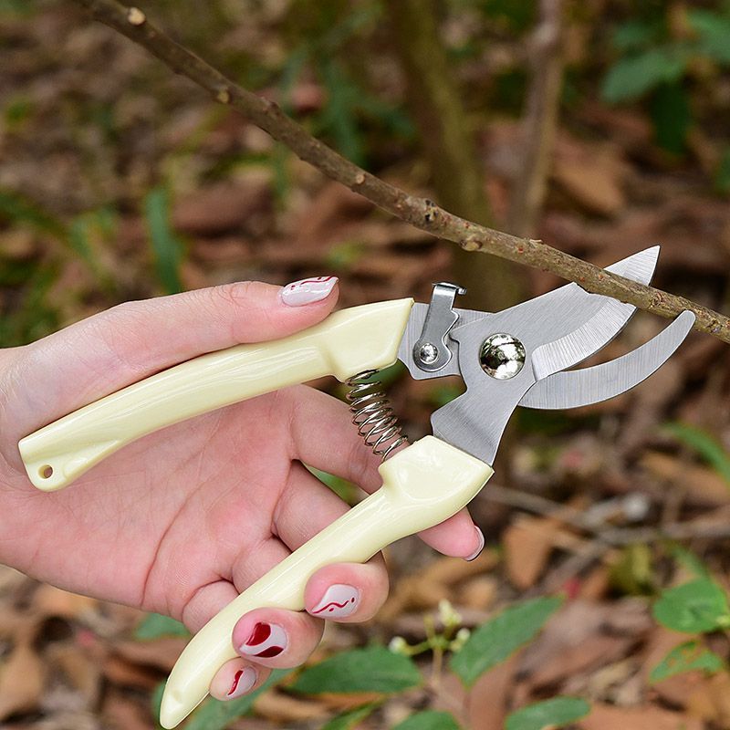 Florist Supp - Labor‑Saving Garden Pruning Shears, Professional Hand