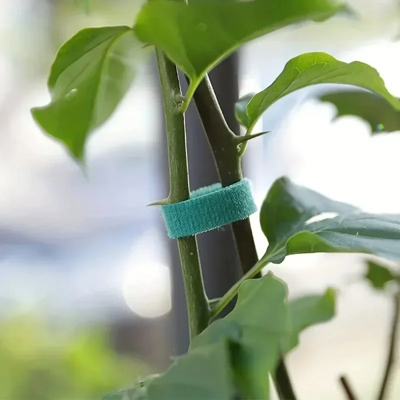 Garden Tape Nylon Cable Tie fo - đánh giá và giá Florist Supp