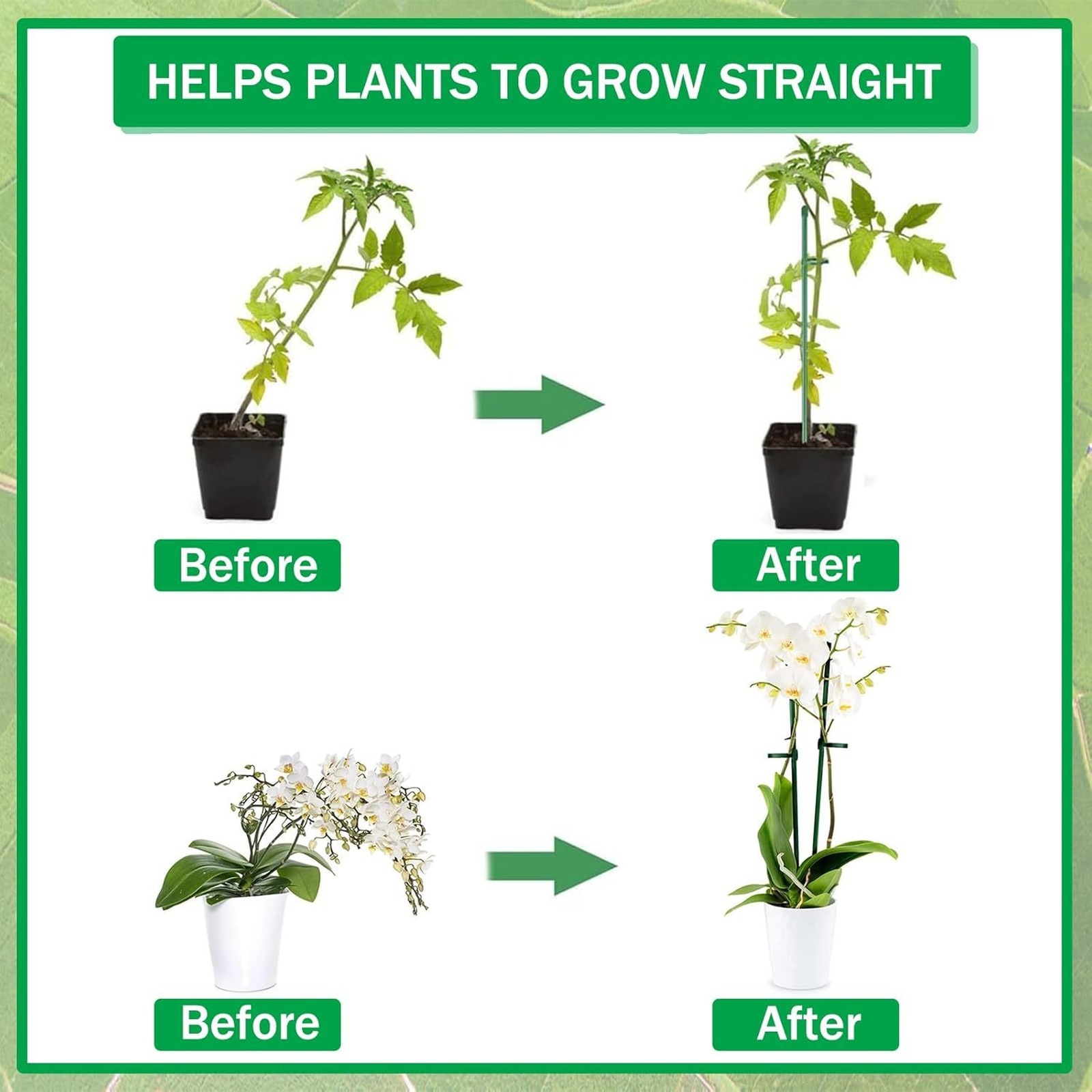 Plant Supports Rod Single Stem - đánh giá và giá Florist Supp