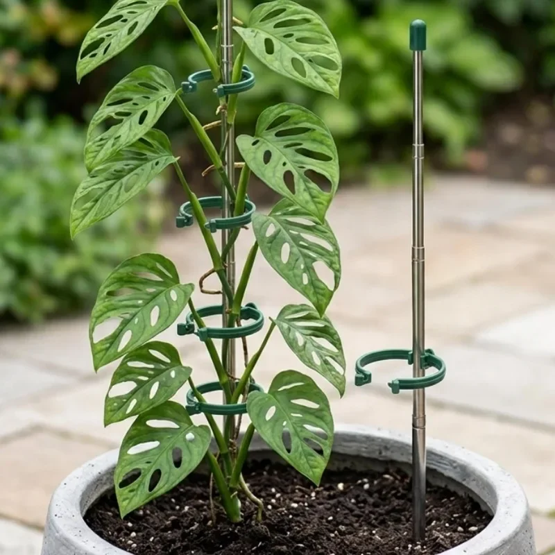 5/1PCS Retractable Plant Suppo - đánh giá và giá Florist Supp