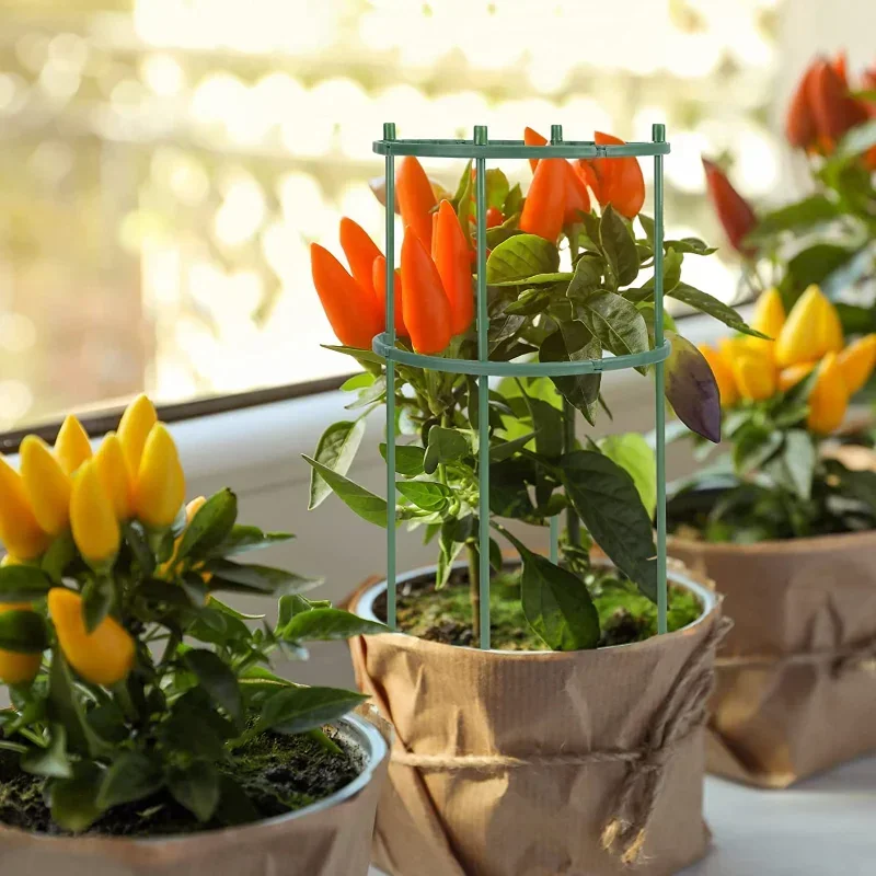 Plastic Plant Support Pile Sta - đánh giá và giá Florist Supp