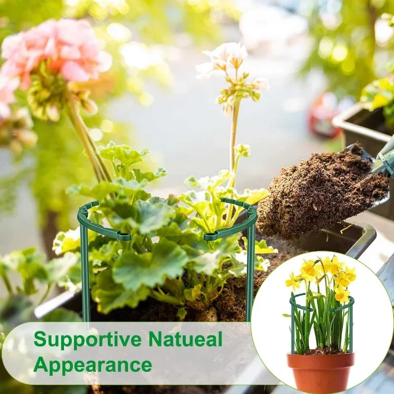 Plastic Plant Support Pile Sta - đánh giá và giá Florist Supp