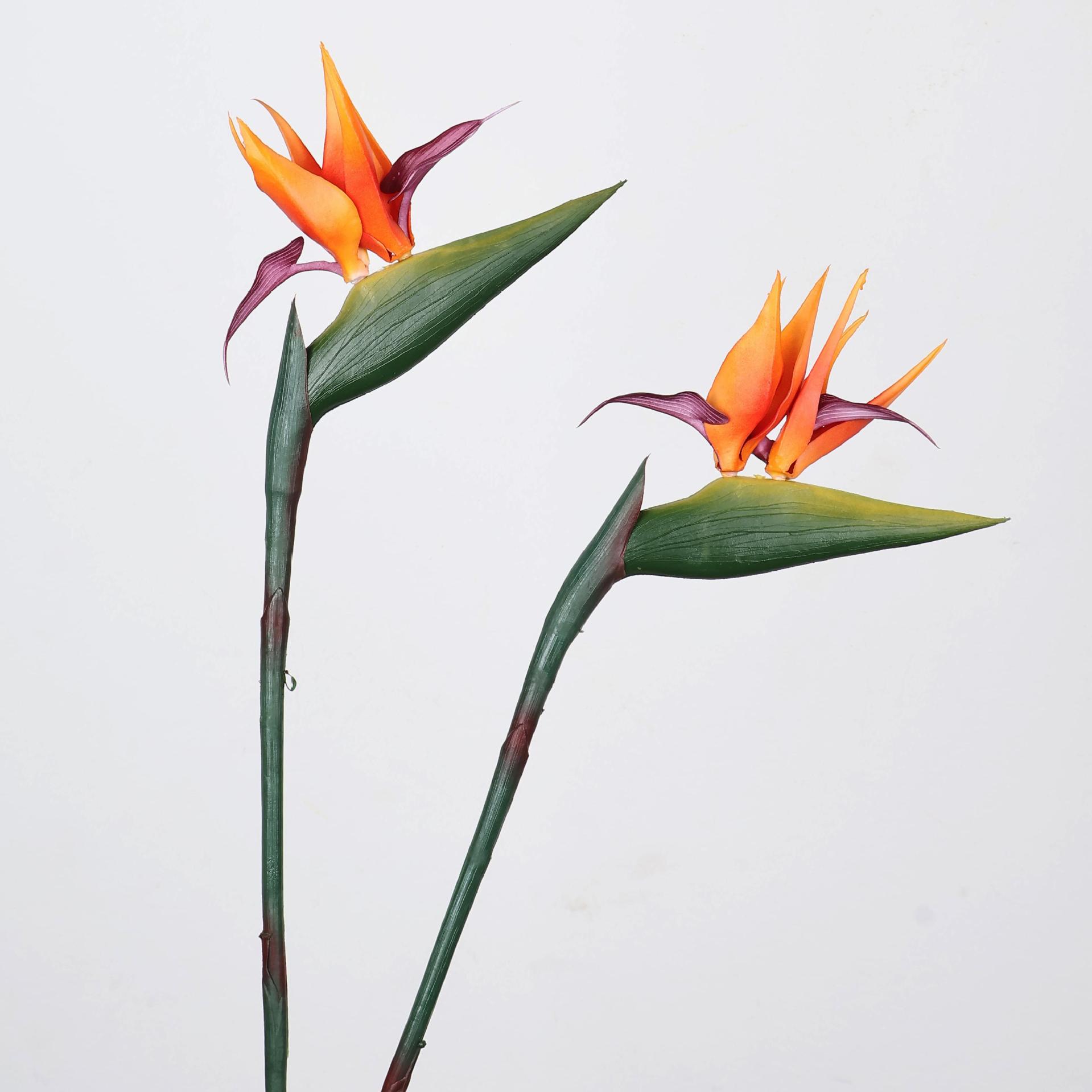 33 Inch Artificial Bird Of Par - đánh giá và giá Florist Supp