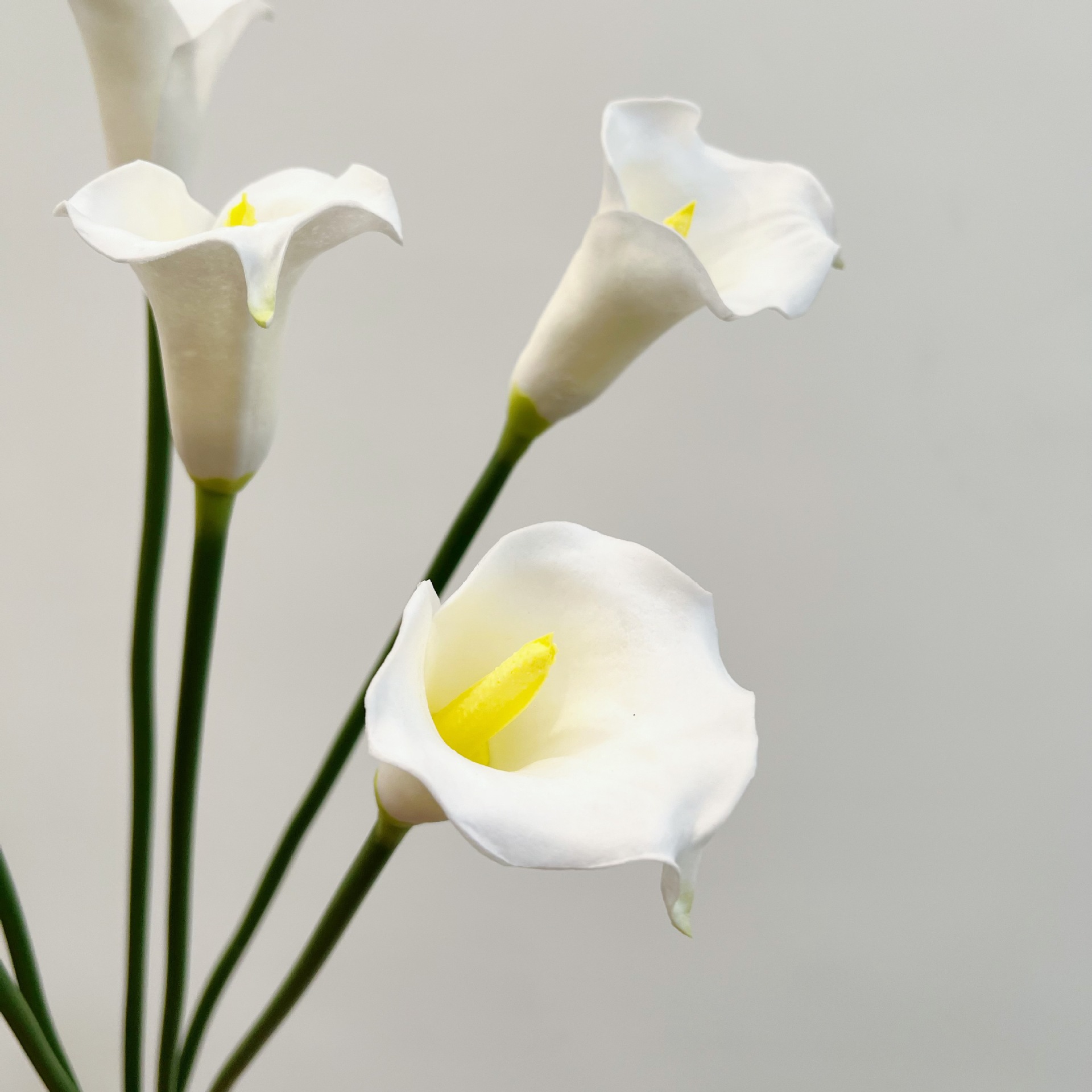 26 Inch Single Stem Crescent C - đánh giá và giá Florist Supp