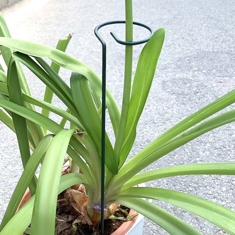 1-10pcs Metal Single Stem Plan - đánh giá và giá Florist Supp