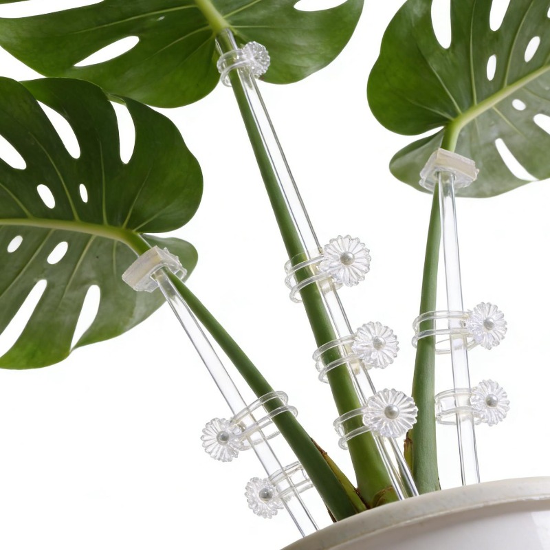 Reusable Clear Flower Support  - đánh giá và giá Florist Supp