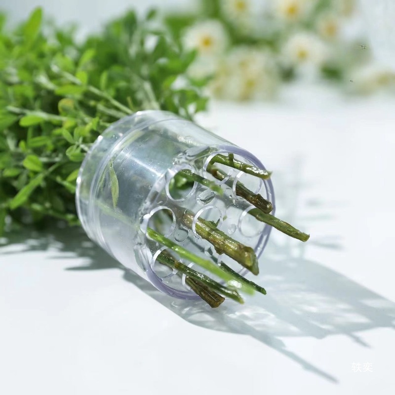 Spiral Stem Holder Sturdy Clea - đánh giá và giá Florist Supp