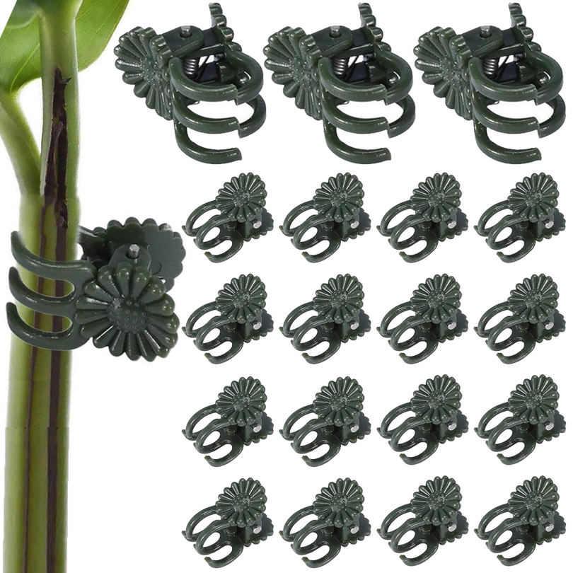 20/50/100PCS Plant Clips Vine  - đánh giá và giá Florist Supp