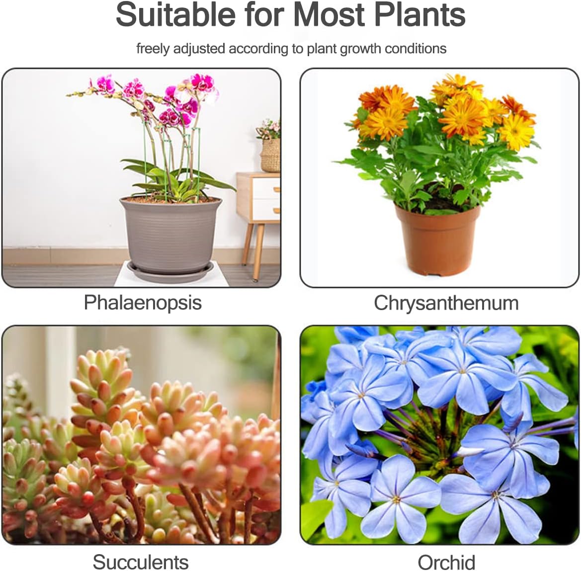 5/10pcs Plant Support Stakes P - đánh giá và giá Florist Supp