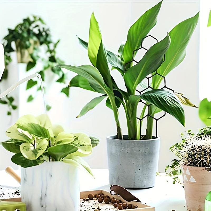 1PC Honeycomb Design Plant Tre - đánh giá và giá Florist Supp