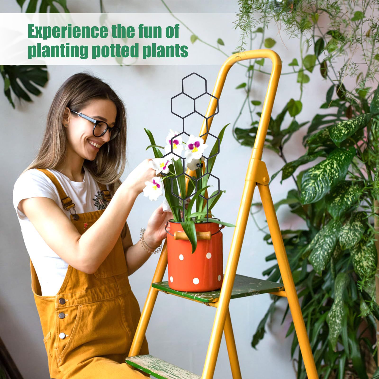 1PC Honeycomb Design Plant Tre - đánh giá và giá Florist Supp
